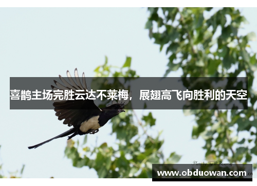 喜鹊主场完胜云达不莱梅，展翅高飞向胜利的天空